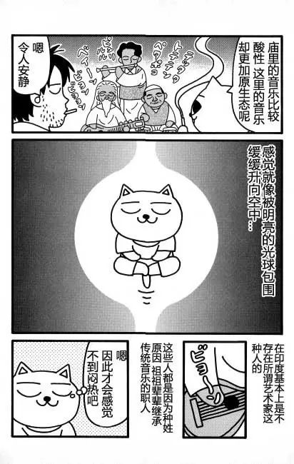 【猫猫旅行记 （四）印度篇】转载(图7)